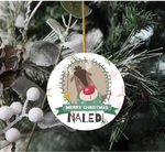 'RUDOLPH & FRIENDS' XMAS PERSONALISED CERAMIC ORNAMENT